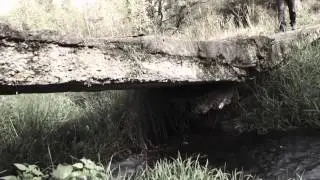Звено скачать