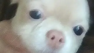 У Меня 2 Канал!!!