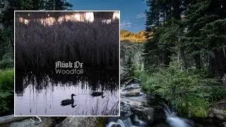 Musk Ox — Woodfall [Full Album]