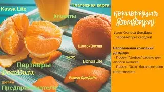 DomDaRA - презентация от руководителя