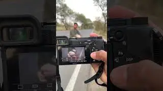 Sony A6400 50mm lens photography test📸 