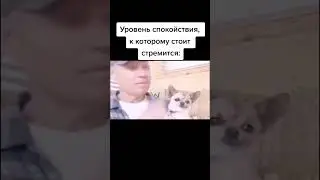 #рекомендации #втоп