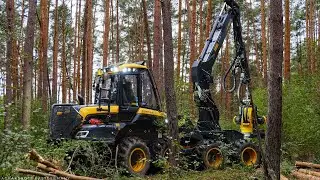 Harvester Sound // Forst ASMR mit John Deere & Ponsse