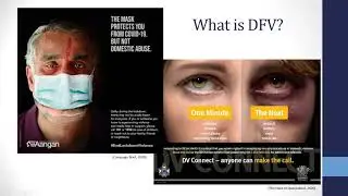 Emerging Trends in Domestic and Family Violence