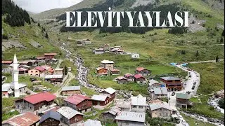 RİZE'NİN HARİKALARINDAN ELEVİT YAYLASI #karadenizyaylaları #elevityaylası