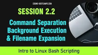 Bash Scripting: Session 2.2 - Command Separation , Background Execution, and Filename Expansion