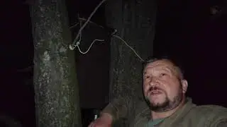 6 роїв з однієї сільскої дороги