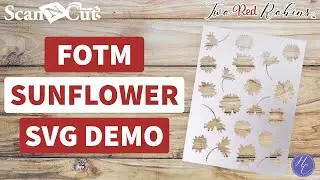 Make Your Own Sunflower Stencils with Flower Of The Month Sunflower SVG's!