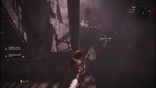 Wo Long Fallen Dynasty "Teamwork"