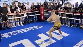 Connor McGregors Fly