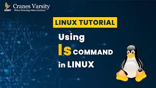 Linux Contents of Directory using ls Command