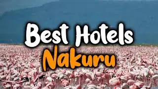 Best Hotels In Nakuru - For Families, Couples, Work Trips, Luxury & Budget