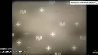 Иониты