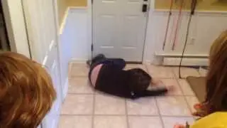 Wall swimming and Freddy