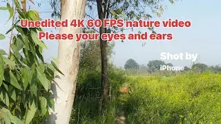 4K Raw nature video by IPhone 11pro #naturelovers #naturephotography #lovenature