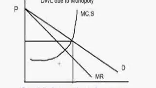 dead weight loss due to monopoly