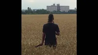 Ecco2k  - Don't Ask (Quick Slip)
