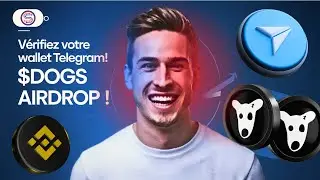 Wallet Telegram, Binance, OKX, Bitget, ils ont reçu leurs pièces $DOGS