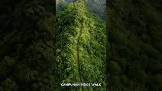 Campuhan Ridge Walk in Ubud, Bali #shorts #campuhanridgewalk #campuhanridgewalkubud