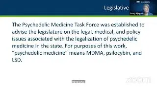 MN Psychedelic task force meeting 2024 03 04 (full recording)