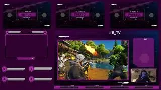 Animated Overlay/Layout Design for Twitch, Youtube and Troovo