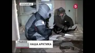 Амдерма ,TV  5 канал