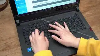 에이수스 ROG Strix SCAR G733ZM 키보드 타건