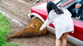 They Didn’t Know They Were Being Filmed! 50 Incidents That Got Caught on Camera