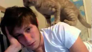 Cat Hairstylist (aka A Pussy Licking)