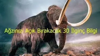 Ağzınızı Açık Bırakacak 30 İlginç Bilgi