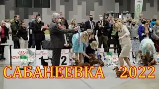 Выставка «Памяти Л.П.Сабанеева» 2022