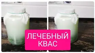 КВАС ПО БОЛОТОВУ на чистотеле РЕЦЕПТ