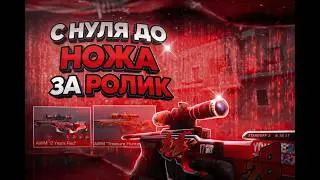 C 0 ДО НОЖА ЗА РОЛИК ⁉️ ТРЕЙД ЛУЧШЕЙ ПРОГРАММОЙ😍