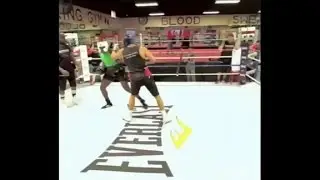 Wladimir Klitschko Sparring Izu Ugonoh Clips Him With Right Hand (2015 Footage)!!!