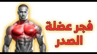 #تمارين_الصدر #عضلة_الصدر #جيم_الجزئر فجر عضلة الصدر بسرعة بهذا البرنامج الرائع