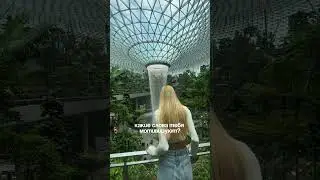 Веб-дизайнер Дарья Дубкова