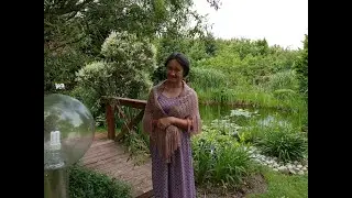 Pond in the garden.