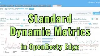 How to use Standard Dynamic Metrics in OpenResty Edge