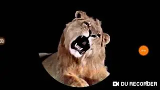 Digit's Reaction Of Leo the Lion (For Tyrese Albright1018)