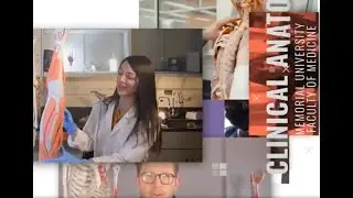 Muscles of Facial Expression