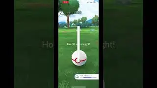 Raiding can be fun.. #pokemon #pogo #pokemongo