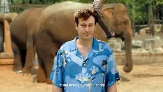 Summer in Jerusalem   Park   Full