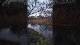 У реки в парке)
