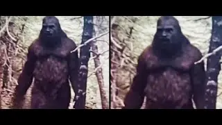 FINALLY HERE IS THE PROOF YOU WANTED!! NEW UNSEEN MOST COMPELLING BIGFOOT VIDEOS EVER RECORDED!!