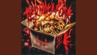 TERIYAKI FUNK