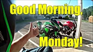 Good Morning Monday!