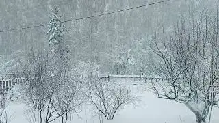 Ах, ты зимушка зима! Как не вовремя пришла