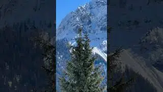 #DolomitidelBrenta #Trentino #MadonnadiCampiglio