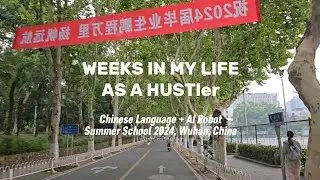 Weeks in my life as a summer school student at Huazhong University of Science and Technology (HUST)