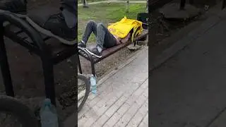 Фокусник📦Яндекс страус😂
